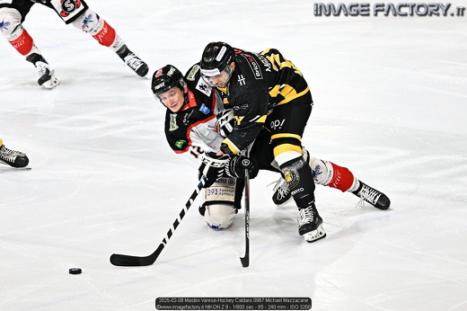 2025-02-08 Mastini Varese-Hockey Caldaro 0967 Michael Mazzacane